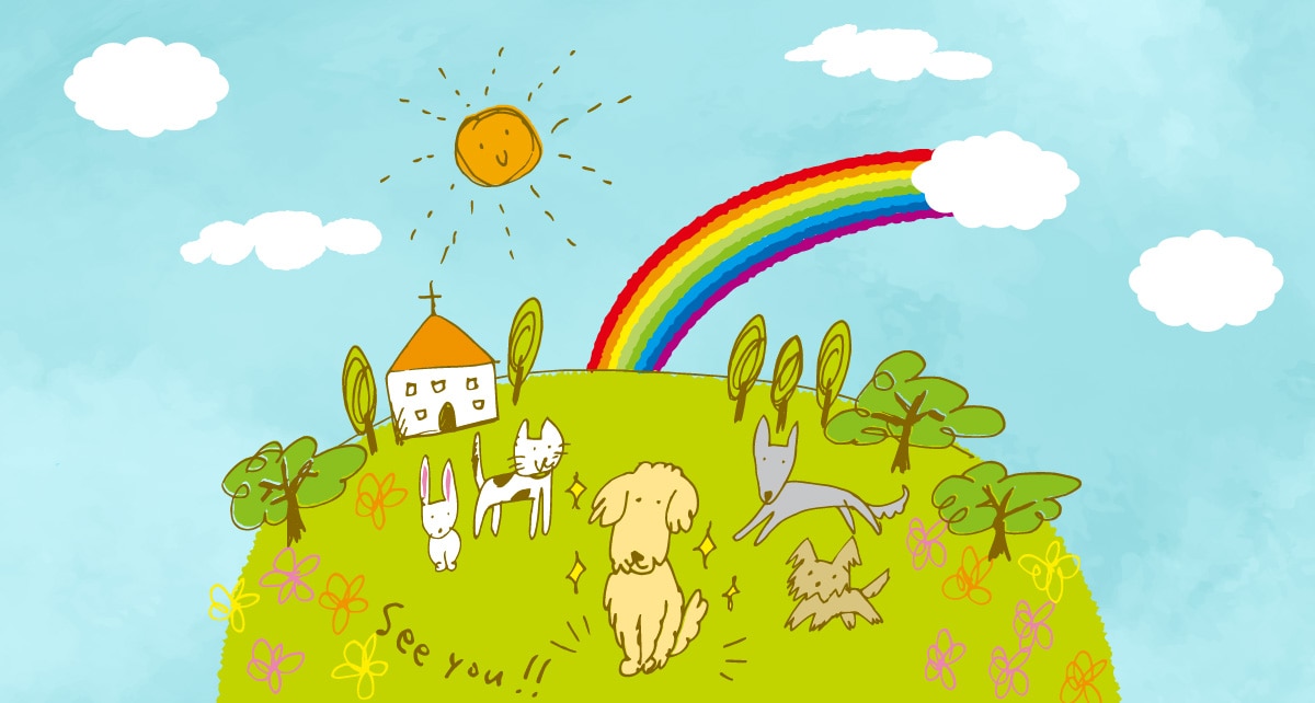 ここに来れば、いつでも会える。私たち家族の「虹の橋」