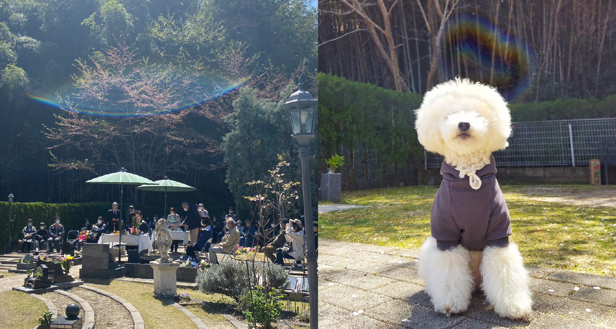 虹がよく見えるガーデンより、大切なペットに愛を込めて