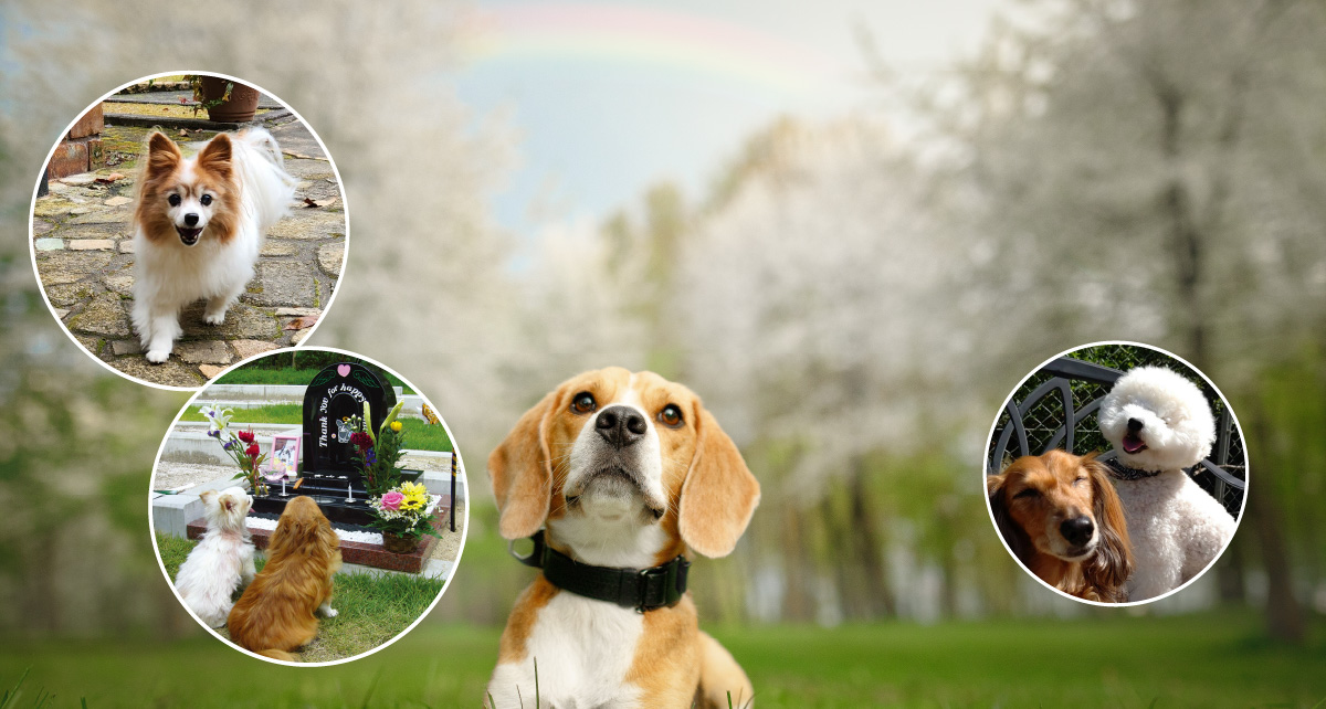 かけがえのない大切な家族と、永遠に安らぐことができる特別な場所。